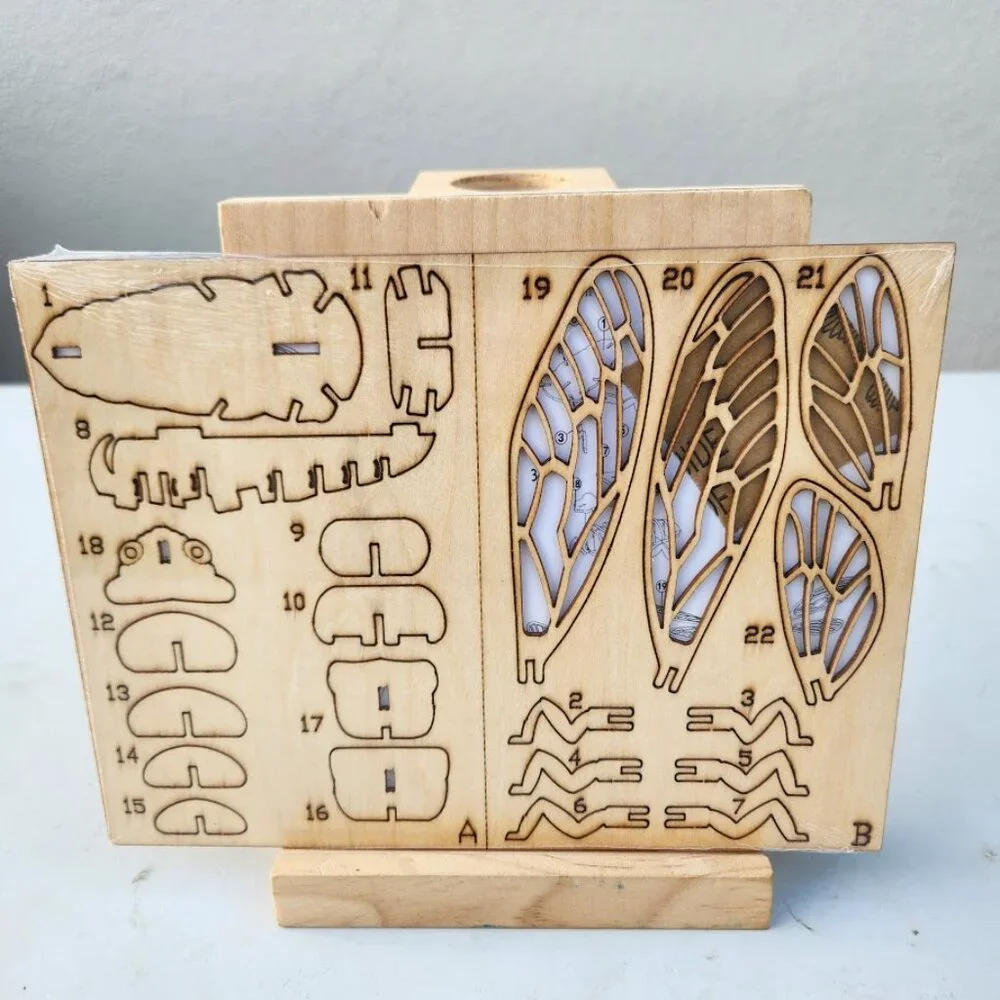 NEW 3D Wooden Cicada Bee Honeybee Puzzle Insect Animal Model Kit STEM Crafts DIY